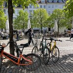 Photo taken by Andrea Y