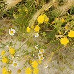 Photo taken by Beata p