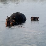 Photo taken by Kolla S