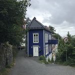 Photo taken by Prem P