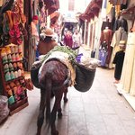 null | Photo taken by Wayne P