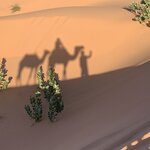 Photo taken by Nancy S