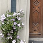 Photo taken by SEAN M