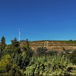 Photo taken by Dee C