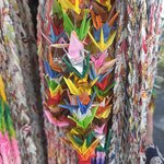 Photo taken by Sarah S