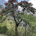 Photo taken by Willow K