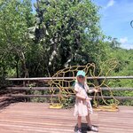 Photo taken by Norma G