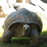 Photo taken by Nicholas P