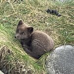 Photo taken by Mike S