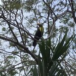 Photo taken by JULIE M