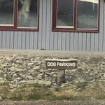 Polar Bear photobombing my picture | Photo taken by florence P