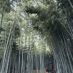 Photo taken by JR L