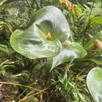 Photo taken by Aparna N