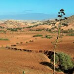 Photo taken by Raelene S