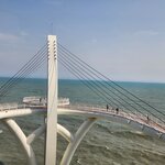 Photo taken by Mark C