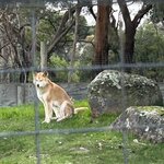 Photo taken by Amy W