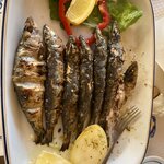 Photo taken by Stephanie N