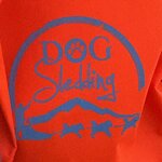 Photo taken by Cathy N