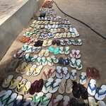 Oldest to the youngest | Photo taken by Gregory R