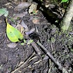 Photo taken by Breann B