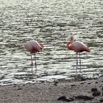 Photo taken by Gary W