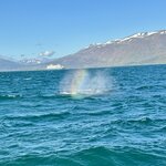 Photo taken by Cassandra M