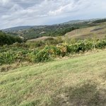 Photo taken by Patricia B