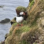 Photo taken by Tom B