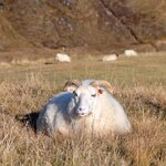 Photo taken by Mark Z