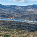 Photo taken by Arnie S