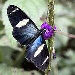 Photo taken by Sheila G