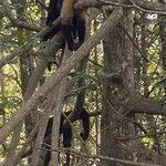 Photo taken by Kim L