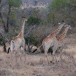 Photo taken by Kolla S