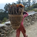 Photo taken by Arpita D