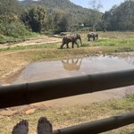 Photo taken by Bailey W