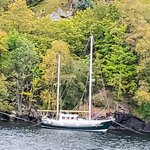 Photo taken by NICOLE L