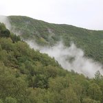 Photo taken by Prem P