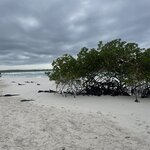 Photo taken by Jason C