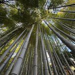 Photo taken by Glenda F