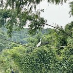 Photo taken by Mylan L