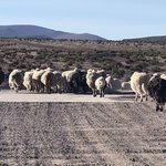 Photo taken by Denisse G