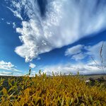 Photo taken by Gina O