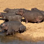 Photo taken by Tom B