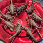 Photo taken by Cary W