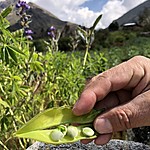 Photo taken by Kristen K