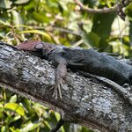 Photo taken by Martin L