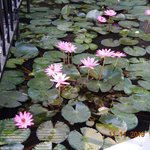 Photo taken by Wayne D