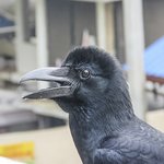 Photo taken by Graham D