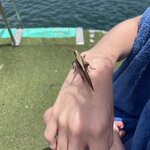 Photo taken by Alexia M