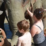 Photo taken by Brook D